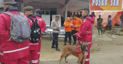 ইন্দোনেশিয়ায় সোনার খনিতে ভূমিধসে ১৫ জন নি/হত 
