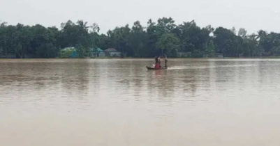 শেরপুরে বন্যা পরিস্থিতির উন্নতি, বিপদসীমার নীচে নদীর পানি 