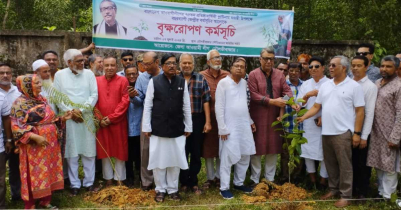 মৌলভীবাজারে আওয়ামী লীগের বৃক্ষরোপণ কর্মসূচি মৌলভীবাজারে আওয়ামী লীগের বৃক্ষরোপণ কর্মসূচি