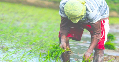 ভূমিহীন কৃষক বন্ধু স্ট্যাটাস চেক সহজ উপায় ২০২৬