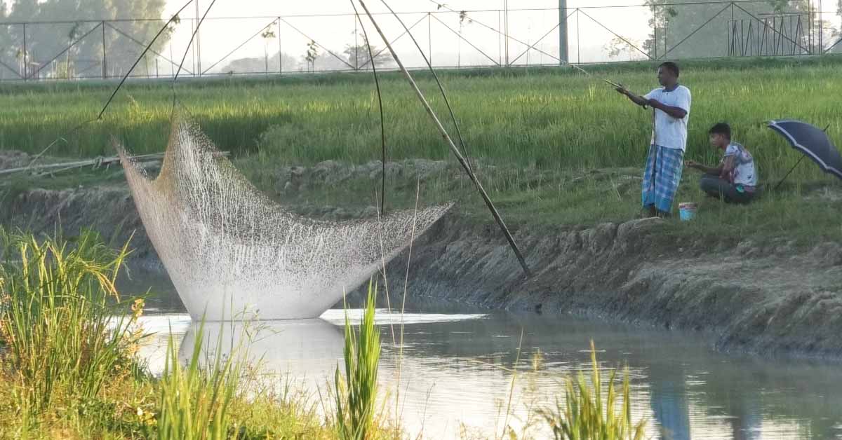 Farmers’ Dreams Revive in Binnar Haor Through Youth Initiatives