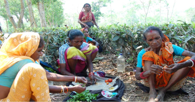 How Are Tea Workers Living in the Land of Tea — Moulvibazar? How Are Tea Workers Living in the Land of Tea — Moulvibazar?