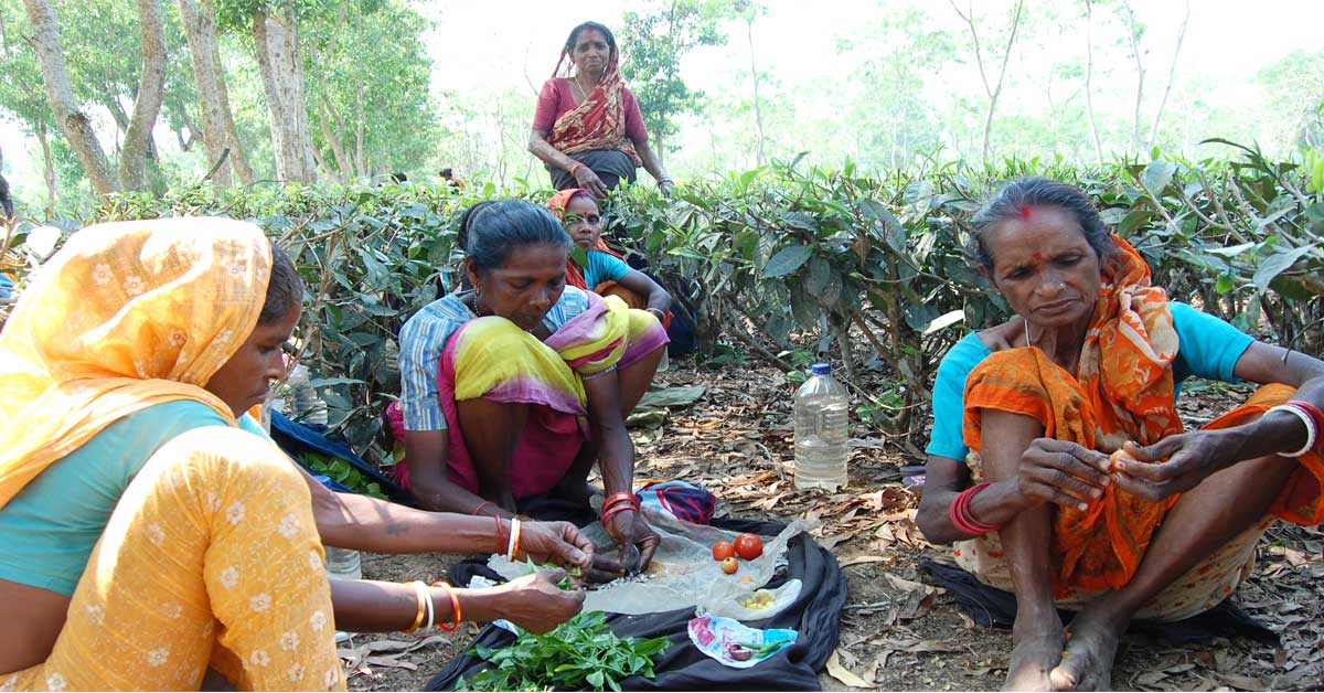 Tea workers eat a mix of tea leaves, chanachur, onions, and tomatoes during their break.
