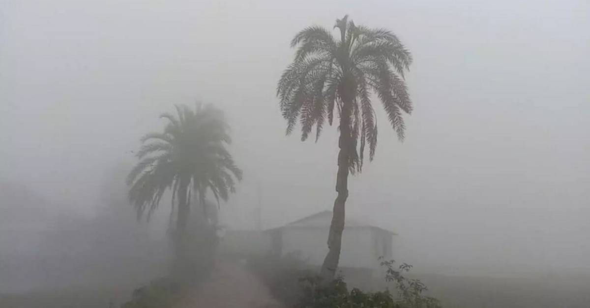 ছবি- সংগৃহীত