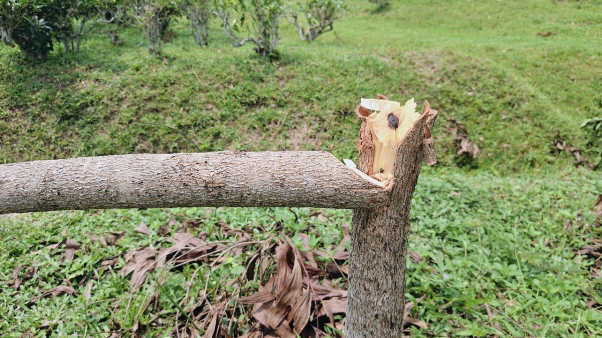 ছবি: আই নিউজ