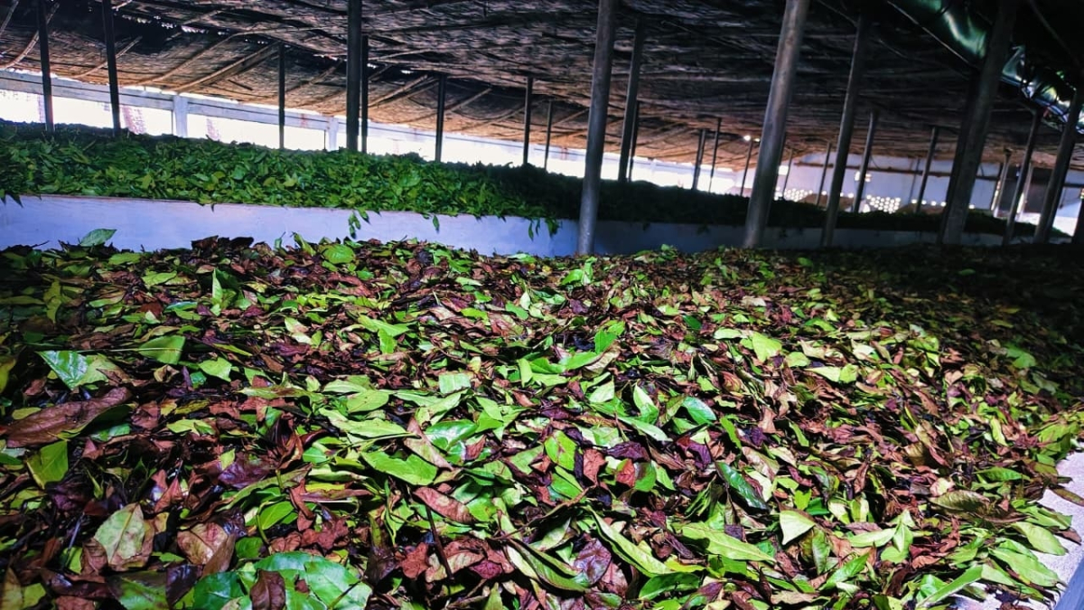 ছবি: আই নিউজ