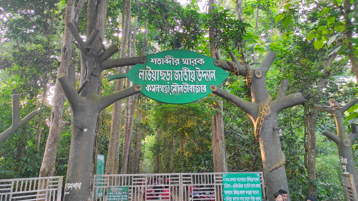লাউয়াছড়া জাতীয় উদ্যান। ছবি: আই নিউজ