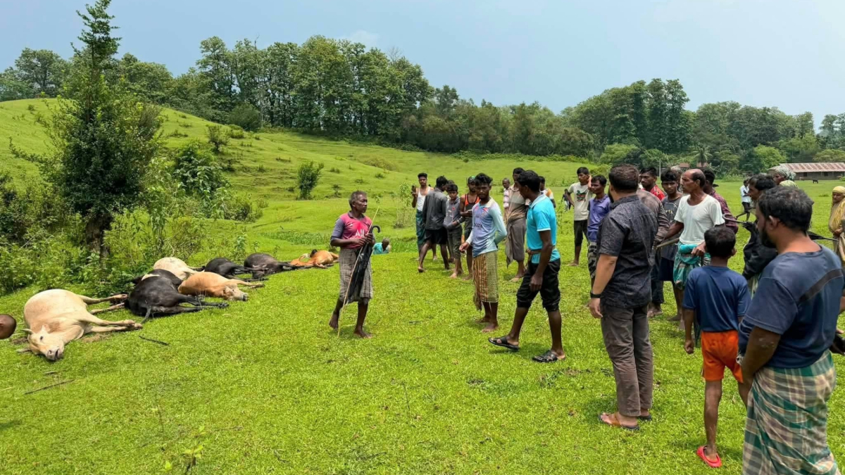 ছবি: আই নিউজ