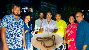 শ্রীমঙ্গলে বাসায় ঢুকে পড়া কালনাগিনী সাপ উদ্ধার