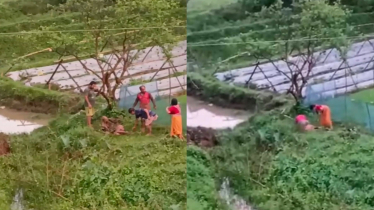 চুরির অপবাদে হাত-পা বেঁধে নির্মম নির্যাতন