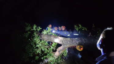 কালবৈশাখীর তাণ্ডবে শ্রীমঙ্গলে বিদ্যুৎ লাইনের ব্যাপক ক্ষতি