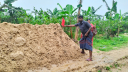 শ্রীমঙ্গলে দিনব্যাপী অভিযানে ১০ ট্রাক সিলিকা বালু জব্দ
