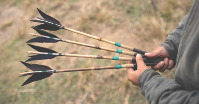 Shillong Teer Result 2026 Complete Guide, Latest Updates