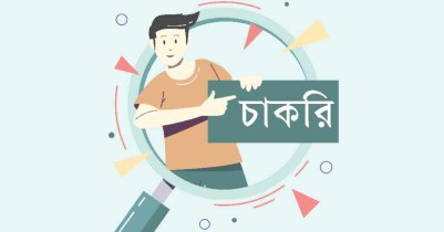 নতুন চাকরি খবর ২০২৬ সরকারি ও বেসরকারি চাকরির সর্বশেষ আপডেট