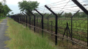 BSF Gunfire Claims Life of Alleged Smuggler