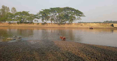 Bangladesh’s Vanishing Coastline: Climate Change, Salinity and the Struggle for Survival