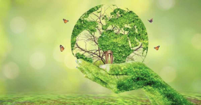 Current Environment Presentation and Global Climate Reality