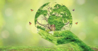 Current Environment Presentation and Global Climate Reality