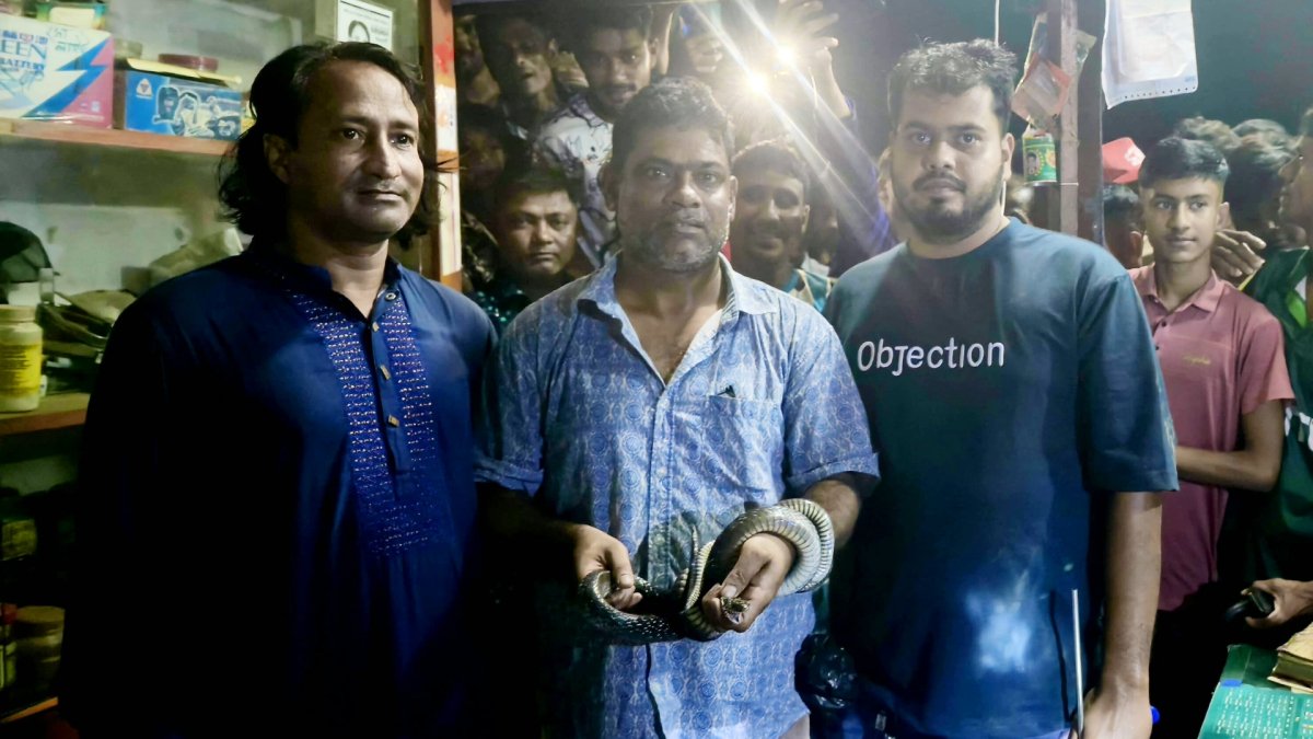 শ্রীমঙ্গলে দাঁড়াশ সাপ উদ্ধার, প্রাণে বাঁচল ‘কৃষকের বন্ধু’ শ্রীমঙ্গলে দাঁড়াশ সাপ উদ্ধার, প্রাণে বাঁচল ‘কৃষকের বন্ধু’