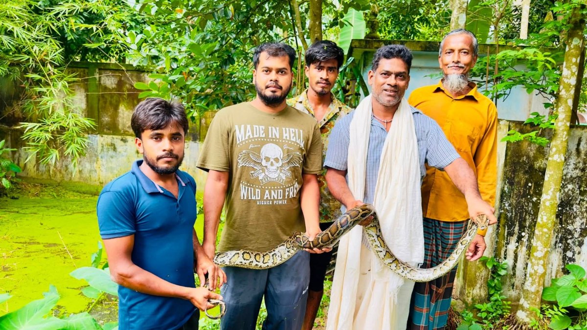 বিশ্ব সাপ দিবসে শ্রীমঙ্গলে অজগর উদ্ধার, লাউয়াছড়ায় অবমুক্ত বিশ্ব সাপ দিবসে শ্রীমঙ্গলে অজগর উদ্ধার, লাউয়াছড়ায় অবমুক্ত