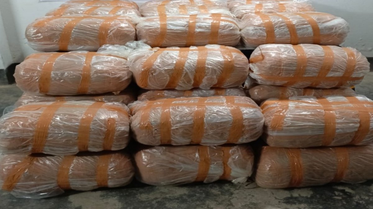 ব্রাহ্মণবাড়িয়ায় ২৬৪ কেজি গাঁজাসহ যুবক গ্রেপ্তার ব্রাহ্মণবাড়িয়ায় ২৬৪ কেজি গাঁজাসহ যুবক গ্রেপ্তার