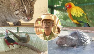 শিকারি থেকে বন্যপ্রাণীর অভিভাবক, না-ফেরার দেশে সীতেশ রঞ্জন দেব শিকারি থেকে বন্যপ্রাণীর অভিভাবক, না-ফেরার দেশে সীতেশ রঞ্জন দেব