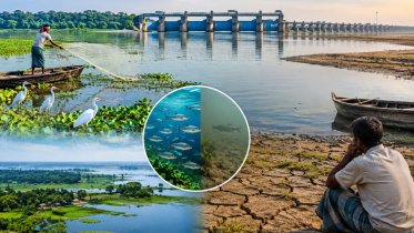 মনু নদী-হাওর: উন্নয়নের সঙ্গে হারিয়ে যাচ্ছে এক জলজ সভ্যতা মনু নদী-হাওর: উন্নয়নের সঙ্গে হারিয়ে যাচ্ছে এক জলজ সভ্যতা
