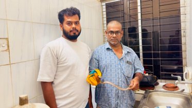 শ্রীমঙ্গলে বিরল ক্যান্টর কুকরি সাপ উদ্ধার, বন বিভাগে হস্তান্তর শ্রীমঙ্গলে বিরল ক্যান্টর কুকরি সাপ উদ্ধার, বন বিভাগে হস্তান্তর