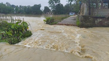 মৌলভীবাজারে ১০ হাজার মানুষ পানিবন্দী, তলিয়ে গেছে ফসলি জমি