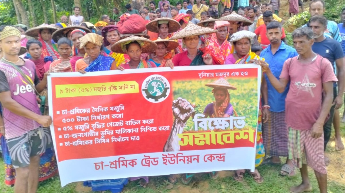 ৫% মজুরি নয়, ৫০০ টাকা চান চা-শ্রমিকেরা ৫% মজুরি নয়, ৫০০ টাকা চান চা-শ্রমিকেরা