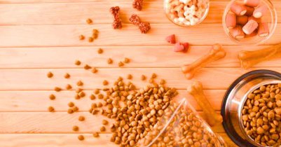 Pet Food Online Prices in USA Current Market Rates