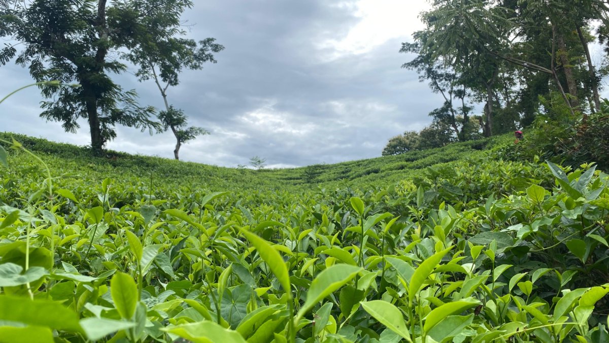 ছবি: আই নিউজ
